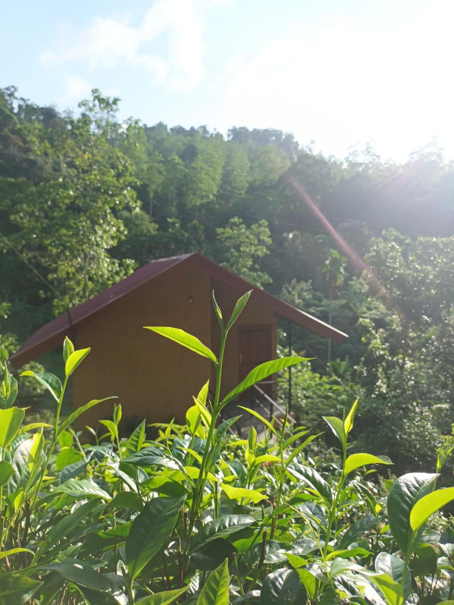 Sunshine Forest Lodge - Sinharaja Deniyaya Εξωτερικό φωτογραφία
