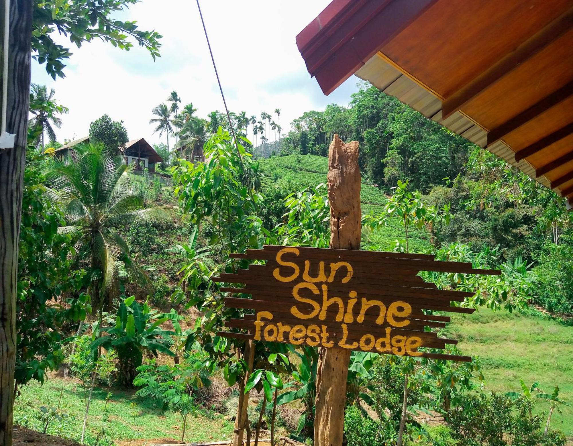 Sunshine Forest Lodge - Sinharaja Deniyaya Εξωτερικό φωτογραφία